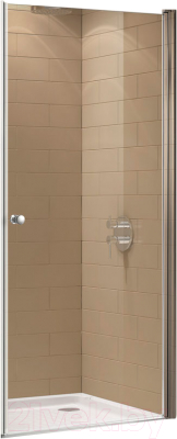 Душевая дверь Cezares ECO-O-B-1-70-C-Cr - фото