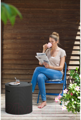 Стул садовый Keter Cool Stool / 230904