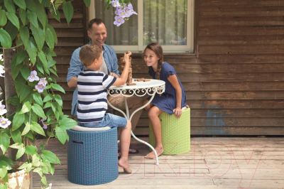 Стул садовый Keter Cool Stool / 230904