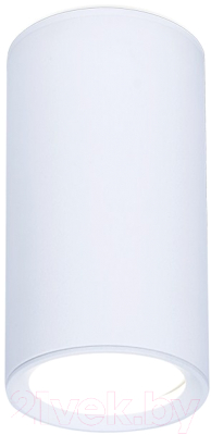 Точечный светильник Ambrella GU5.3 TN218 WH/S - фото