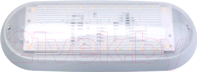 Светильник ЖКХ Bylectrica ДПО01-6-705 УХЛ4 - фото