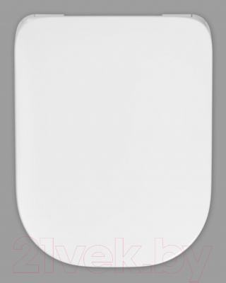 Сиденье для унитаза Roca Gap 7801472001