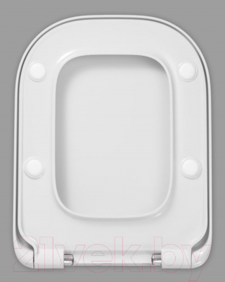 Сиденье для унитаза Roca Gap 7801472001