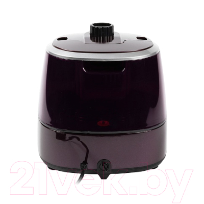 Отпариватель Endever Odyssey Q-7 (фиолетовый)