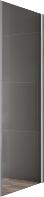 Душевая стенка Cezares VARIANTE-100-FIX-C-Cr (боковая) - фото