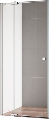 Душевая дверь Cezares VALVOLA-B-1-100-C-Cr - фото