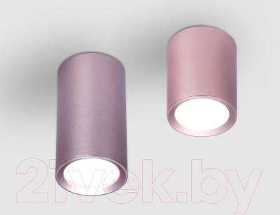 Точечный светильник Ambrella GU5.3 TN220 PU/S