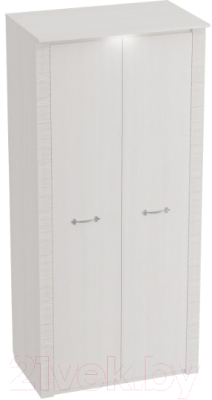 Шкаф Мебельград Элана 2-х дверный 101x64.5x218.5 - фото