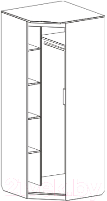 Шкаф Мебельград Элана угловой 90x90x218.5