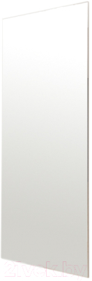 Зеркало Мебельград Z-08 прямоугольник 100x40 - фото