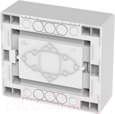 Бокс пластиковый Elektro-Plast Eco Box 2502-01