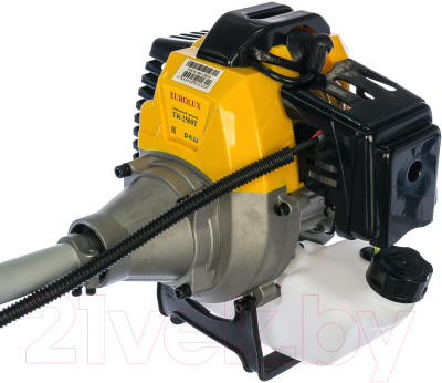 Триммер бензиновый EUROLUX TR-2500T (70/2/19)