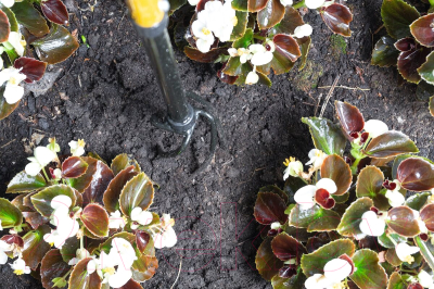 Культиватор ручной Tornadica Mini TOR-32MCUL