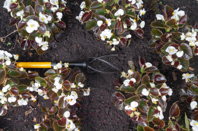 Культиватор ручной Tornadica Mini TOR-32MCUL