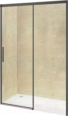 Душевая дверь RGW LE-12B / 34121217-14 - фото