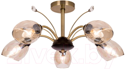 Люстра Citilux Комета CL108155 - фото