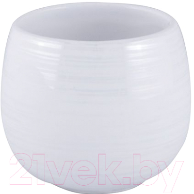 Стакан для зубной щетки и пасты AWD Interior AWD02190992 - фото