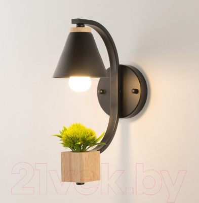 Бра Home Light Астерия B149-1-B - фото