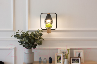 Бра Home Light Астерия B149-6-B