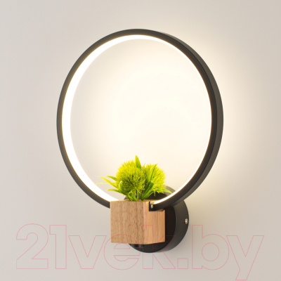 Бра Home Light Астерия C056-1-B