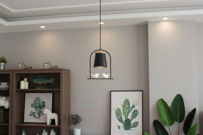 Потолочный светильник Home Light Астерия A014-B (черный)