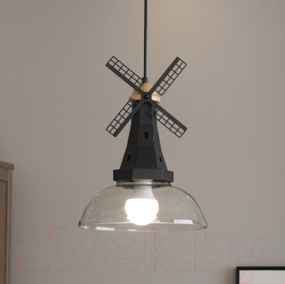 Потолочный светильник Home Light Астерия A046-B (черный) - фото