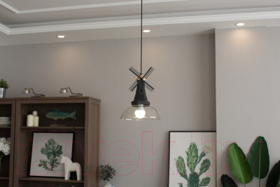 Потолочный светильник Home Light Астерия A046-B (черный)