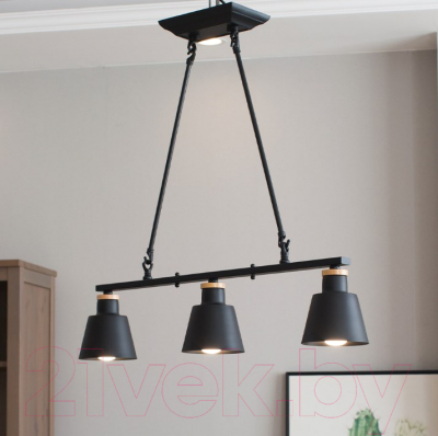 Люстра Home Light Астерия A070-3 (черный) - фото