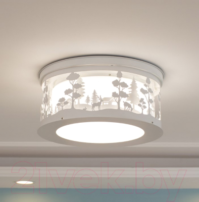 Потолочный светильник Home Light Астерия D009-2 (белый) - фото