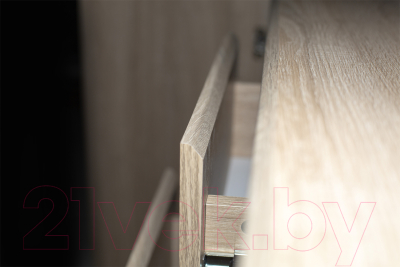 Тумба Евва Турин ТР-2D4S/S (дуб сонома)