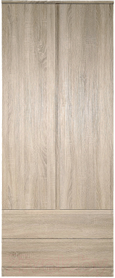 Шкаф Евва Турин ТР-2D2S/S