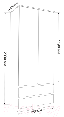 Шкаф Евва Турин ТР-2D2S/S