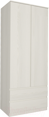 Шкаф Евва Турин ТР-2D2S/YA-S - фото