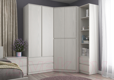 Шкаф Евва Турин ТР-2D2S/YA-S