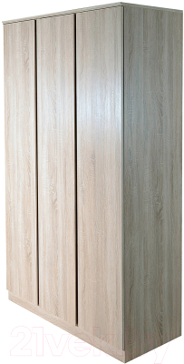 Шкаф Евва Турин ТР-3D-01/S - фото