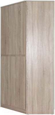 Шкаф Евва Турин ТР-2D/S