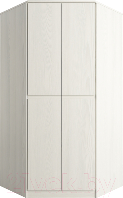 Шкаф Евва Турин ТР-2D/YA-S - фото