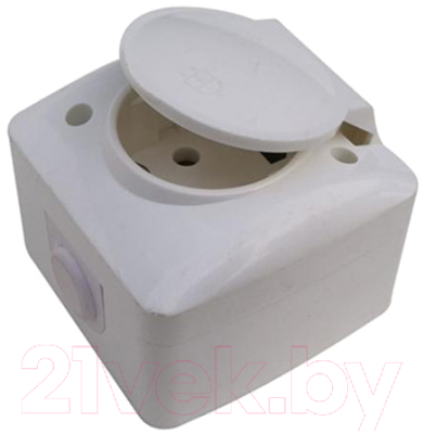Розетка КС Дабрабыт 1 ОП 16А / 74860 - фото