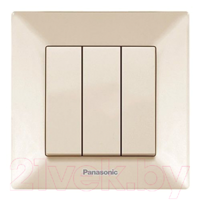 Выключатель Panasonic WMTC00152BG-BY - фото