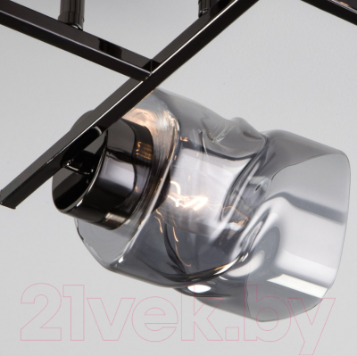 Люстра Евросвет Hilari 30165/6