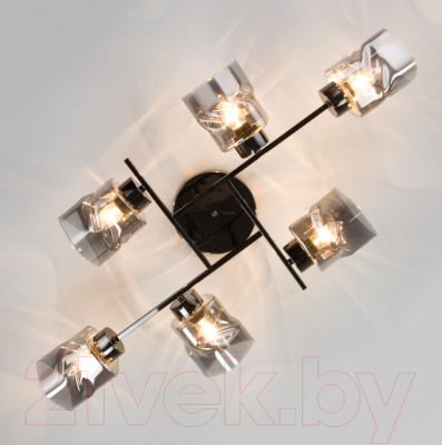 Люстра Евросвет Hilari 30165/6