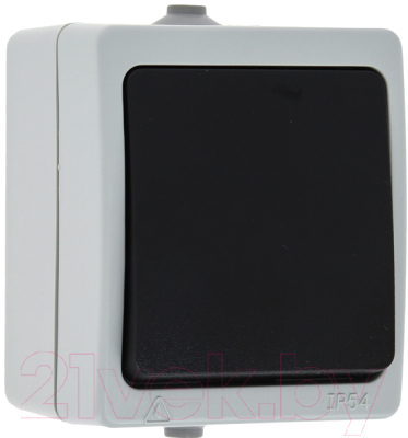 Выключатель КС Дабрабыт ОП 10А IP54 / 74841 - фото