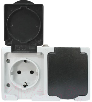 Розетка КС 2 ОП 16А IP54 / 74846 - фото