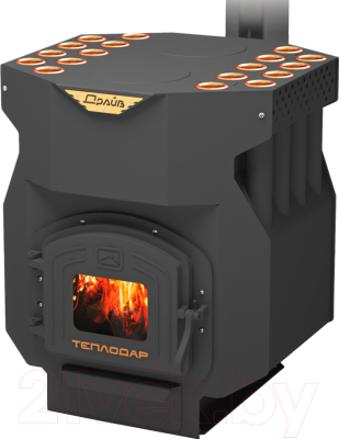 Печь отопительно-варочная Теплодар Топ-Драйв 250 - фото