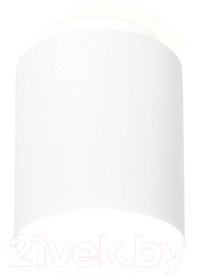 Точечный светильник Ambrella TN260 WH/S - фото