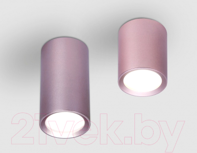 Точечный светильник Ambrella GU5.3 TN217 PI/S