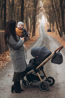 Детская универсальная коляска Carrello Epica 2 в 1 / CRL-8510/1