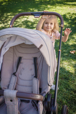 Детская универсальная коляска Carrello Epica 2 в 1 / CRL-8510/1