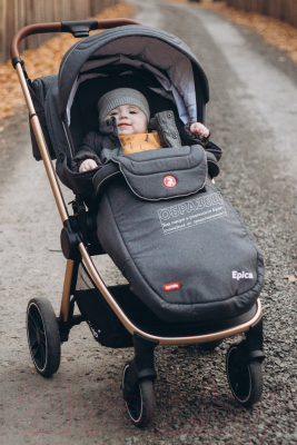 Детская универсальная коляска Carrello Epica 2 в 1 / CRL-8510/1