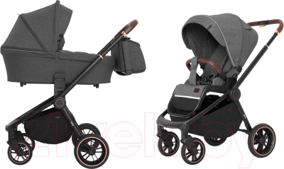 Детская универсальная коляска Carrello Epica 2 в 1 / CRL-8510/1